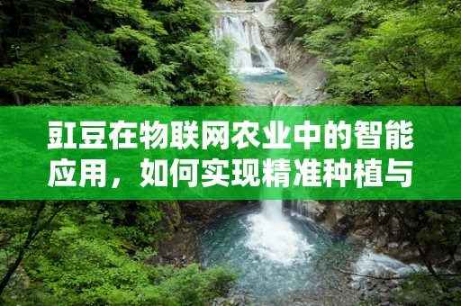 豇豆在物联网农业中的智能应用，如何实现精准种植与监控？