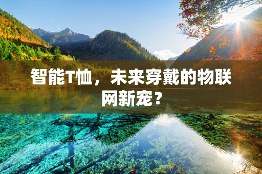 智能T恤，未来穿戴的物联网新宠？