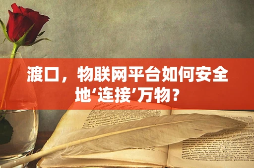 渡口，物联网平台如何安全地‘连接’万物？