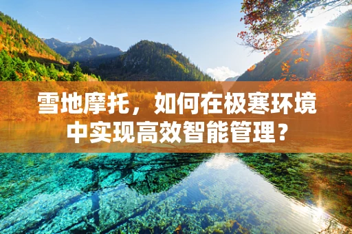 雪地摩托，如何在极寒环境中实现高效智能管理？