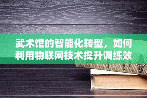 武术馆的智能化转型，如何利用物联网技术提升训练效率与安全？