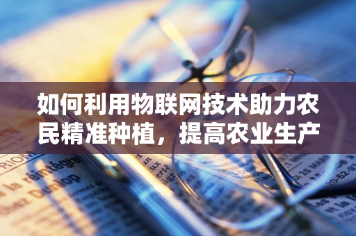 如何利用物联网技术助力农民精准种植，提高农业生产效率？