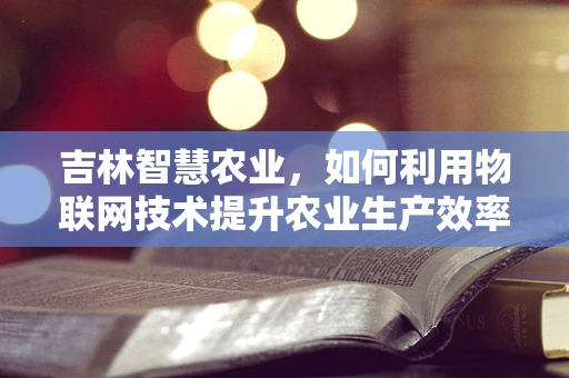 吉林智慧农业，如何利用物联网技术提升农业生产效率？