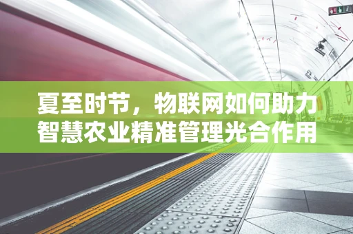 夏至时节，物联网如何助力智慧农业精准管理光合作用？