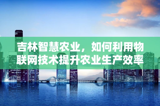 吉林智慧农业，如何利用物联网技术提升农业生产效率？