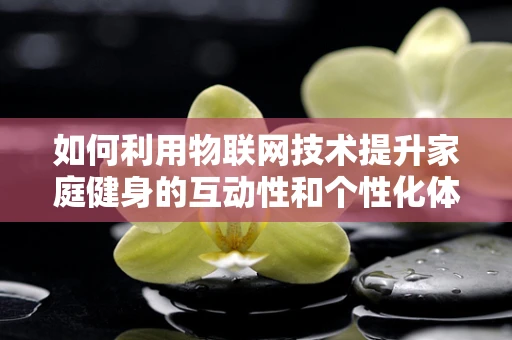 如何利用物联网技术提升家庭健身的互动性和个性化体验？