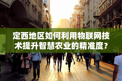 定西地区如何利用物联网技术提升智慧农业的精准度？