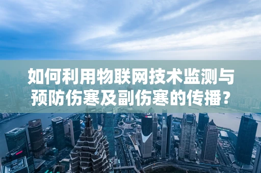如何利用物联网技术监测与预防伤寒及副伤寒的传播？