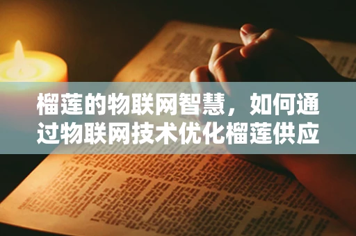 榴莲的物联网智慧，如何通过物联网技术优化榴莲供应链管理？