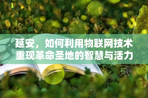 延安，如何利用物联网技术重现革命圣地的智慧与活力？