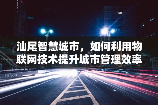 汕尾智慧城市，如何利用物联网技术提升城市管理效率？