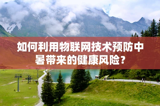 如何利用物联网技术预防中暑带来的健康风险？
