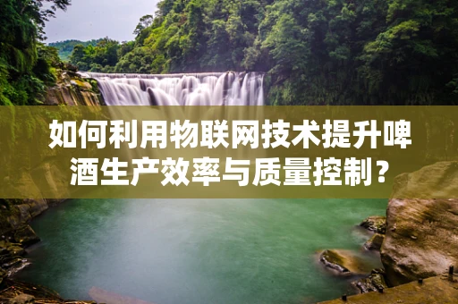 如何利用物联网技术提升啤酒生产效率与质量控制？