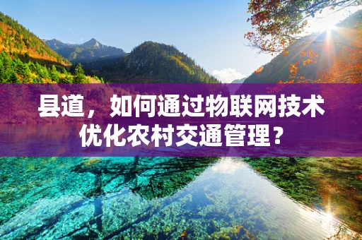 县道，如何通过物联网技术优化农村交通管理？