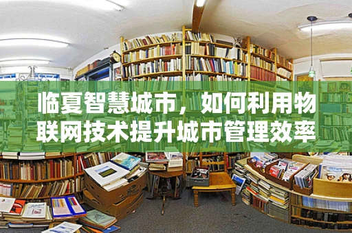 临夏智慧城市，如何利用物联网技术提升城市管理效率？