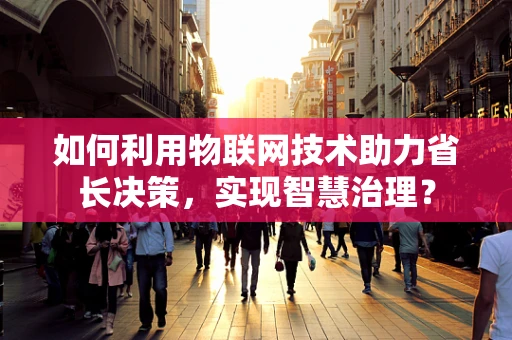 如何利用物联网技术助力省长决策，实现智慧治理？