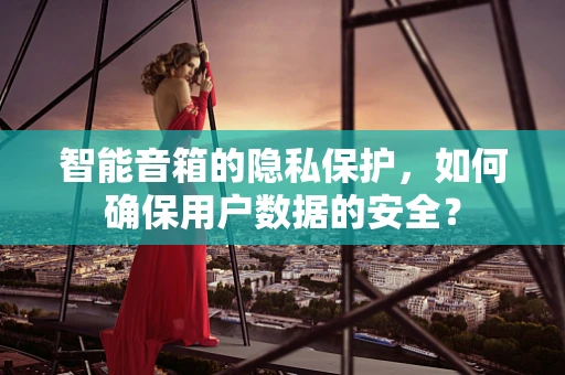 智能音箱的隐私保护，如何确保用户数据的安全？