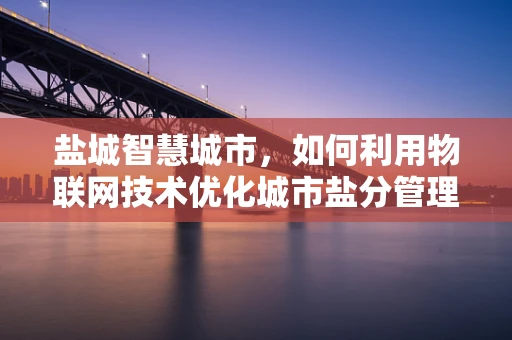 盐城智慧城市，如何利用物联网技术优化城市盐分管理？