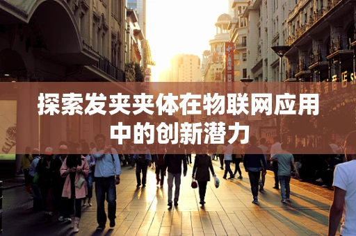 探索发夹夹体在物联网应用中的创新潜力