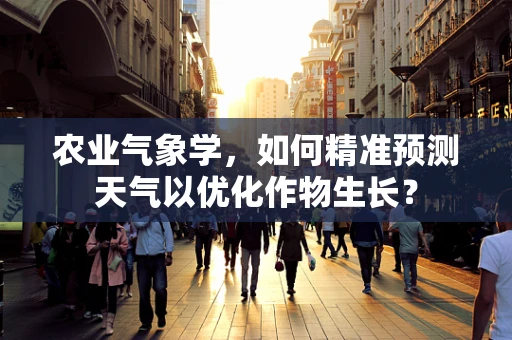 农业气象学，如何精准预测天气以优化作物生长？