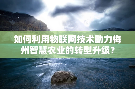 如何利用物联网技术助力梅州智慧农业的转型升级？