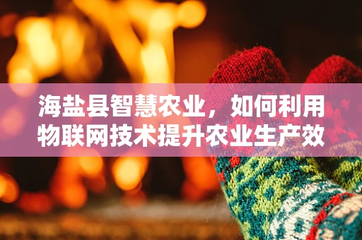 海盐县智慧农业，如何利用物联网技术提升农业生产效率？