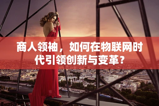 商人领袖，如何在物联网时代引领创新与变革？