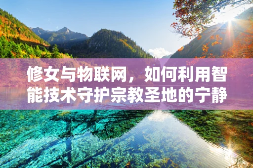 修女与物联网，如何利用智能技术守护宗教圣地的宁静？