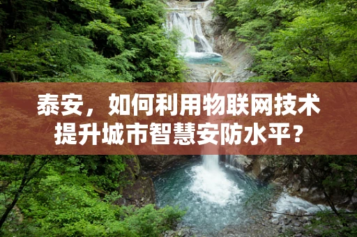 泰安，如何利用物联网技术提升城市智慧安防水平？