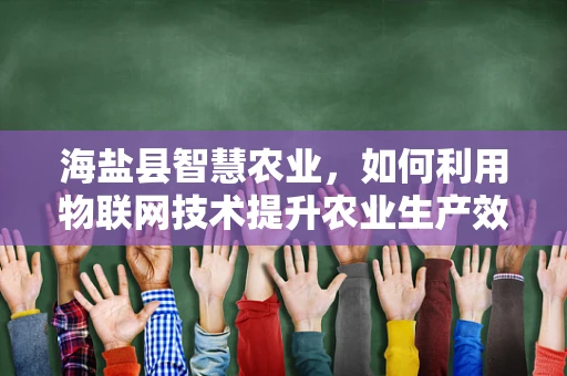 海盐县智慧农业，如何利用物联网技术提升农业生产效率？