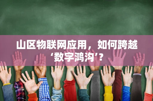 山区物联网应用，如何跨越‘数字鸿沟’？