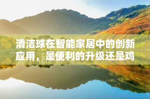 清洁球在智能家居中的创新应用，是便利的升级还是鸡肋的革新？