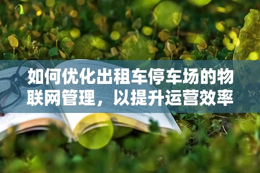 如何优化出租车停车场的物联网管理，以提升运营效率？