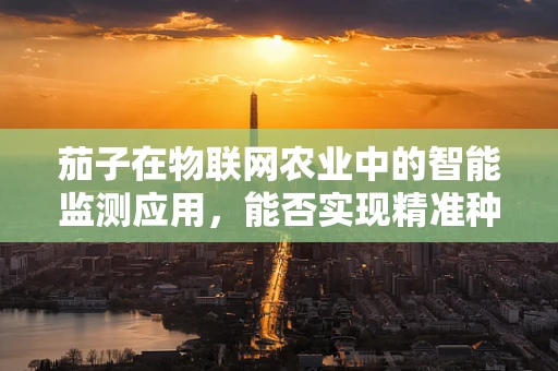 茄子在物联网农业中的智能监测应用，能否实现精准种植的‘智慧果’？