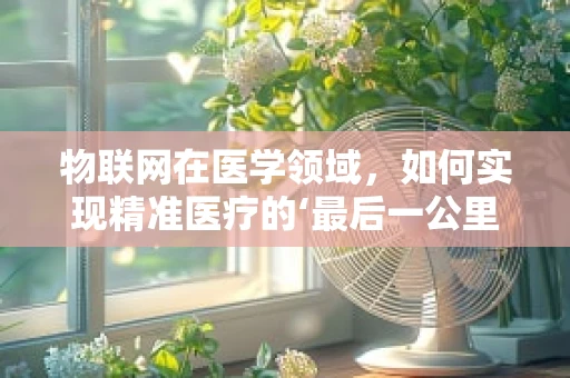 物联网在医学领域，如何实现精准医疗的‘最后一公里’？