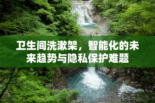 卫生间洗漱架，智能化的未来趋势与隐私保护难题