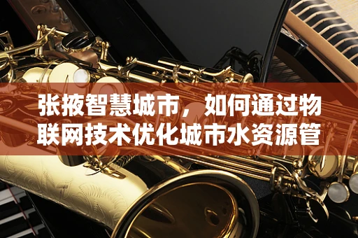 张掖智慧城市，如何通过物联网技术优化城市水资源管理？