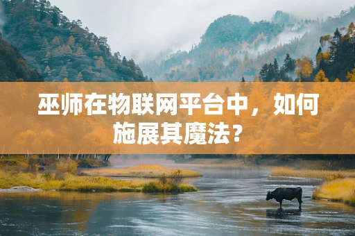 巫师在物联网平台中，如何施展其魔法？