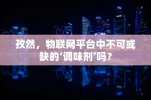 孜然，物联网平台中不可或缺的‘调味剂’吗？