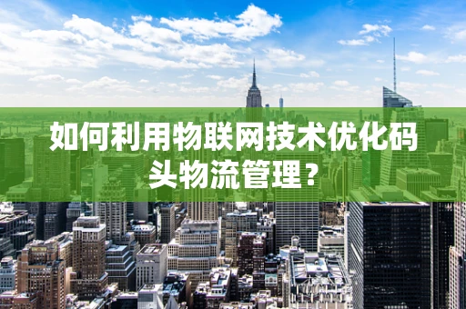 如何利用物联网技术优化码头物流管理？