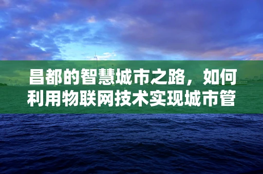 昌都的智慧城市之路，如何利用物联网技术实现城市管理的智能化升级？