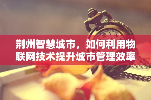 荆州智慧城市，如何利用物联网技术提升城市管理效率？