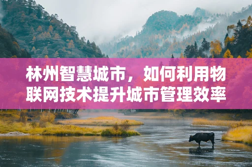 林州智慧城市，如何利用物联网技术提升城市管理效率？