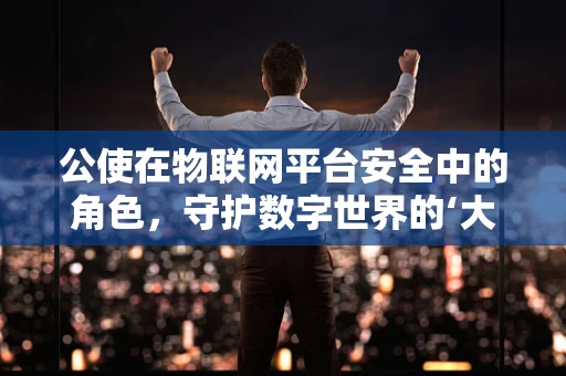 公使在物联网平台安全中的角色，守护数字世界的‘大使’？