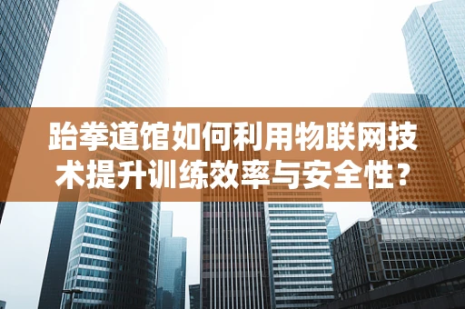 跆拳道馆如何利用物联网技术提升训练效率与安全性？