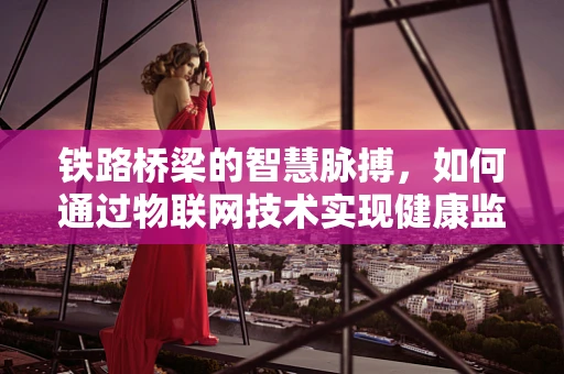 铁路桥梁的智慧脉搏，如何通过物联网技术实现健康监测？
