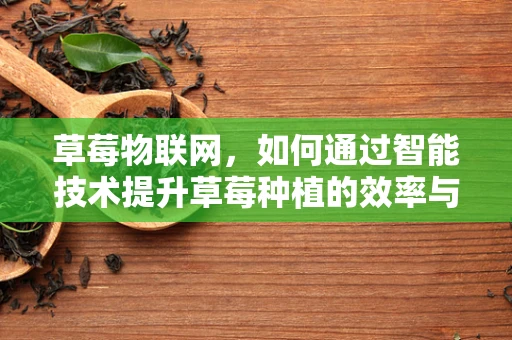 草莓物联网，如何通过智能技术提升草莓种植的效率与品质？