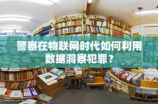 警察在物联网时代如何利用数据洞察犯罪？