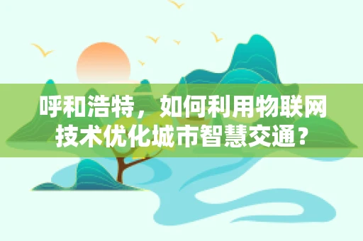 呼和浩特，如何利用物联网技术优化城市智慧交通？