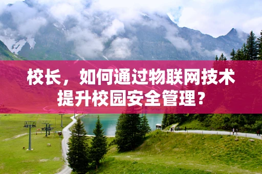 校长，如何通过物联网技术提升校园安全管理？